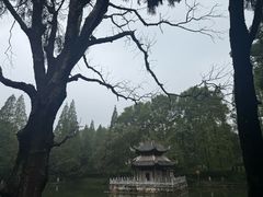 -习家池