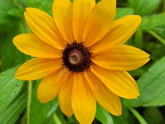 -四里河滨水生态公园