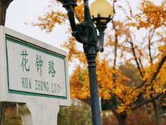 -石家庄市植物园