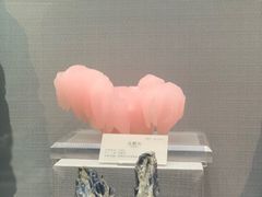 -湖南省地质博物馆