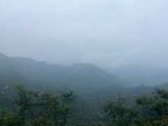 -大岭沟猕猴桃谷风景区