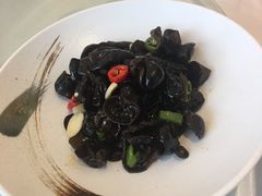 养生小木耳-骏莱海鲜鱼港(五角场店)