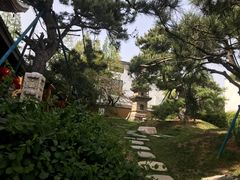 -龙华寺
