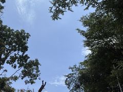 -笨罗卜浏阳菜馆(龙华鹏润达店)