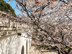 -苏州上方山国家森林公园