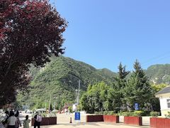 -少华山国家森林公园