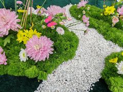 -南山植物园