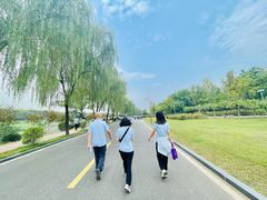 -洨河生态公园