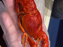 -聚味瞿记·龙虾堂(坡子街店)