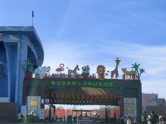 -鄂尔多斯野生动物园