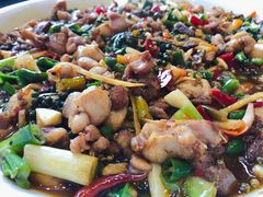 -新概念来凤鱼(璧山店)