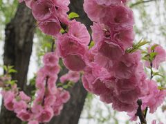 -金宫殿故址