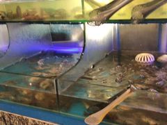 水产区-梅园国际大酒店·自助餐厅(光明港店)