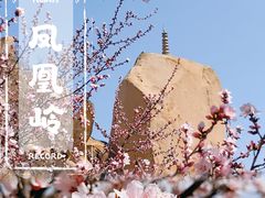 -北京凤凰岭