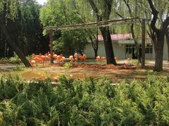 -石家庄市动物园