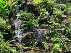 -深圳仙湖植物园