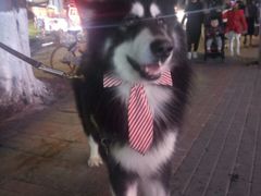 -川湘園(西华路店)