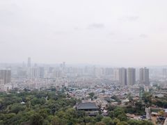-兰山公园