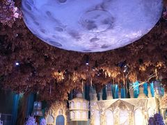 -同庆楼(奥体中心店)