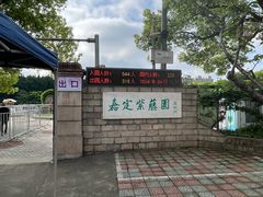 -嘉定紫藤园