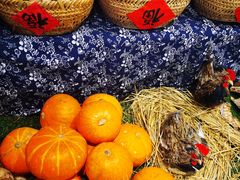 -老阿爸江浙土菜(奥体中心店)