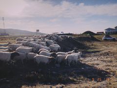 -青海湖国家重点风景名胜区