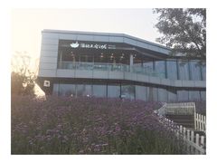 门面-猫的天空之城概念书店(北戴河蔚蓝海岸店)