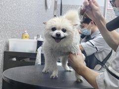 -宠物家(角门东店)