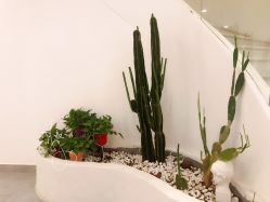 -DAISY BRIDAL黛茜婚纱