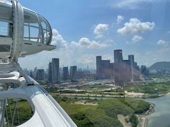 -蔻蔻椰·鲜萃椰子水(欢乐港湾店)