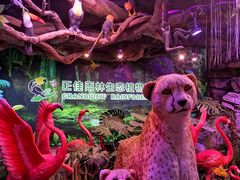 -正佳雨林生态植物园