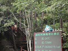 -汤旺河林海奇石景区