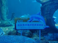 -多彩贵州城极地海洋世界