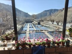 -天源渔港农庄