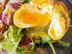 -the rug 飞毯 (朝阳公园店)