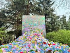 -上海共青森林公园