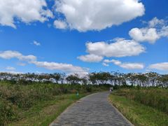 -盐城丹顶鹤湿地生态旅游区