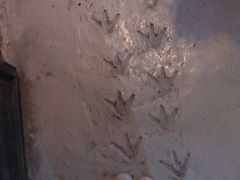 -暹罗海洋世界