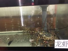 -QQ海鲜餐厅