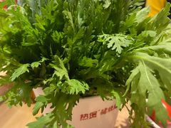 -好彩猪肚鸡(正弘城店)
