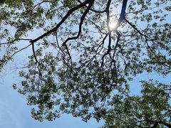 -嬉乐湾休闲旅游区
