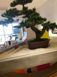 -松和日式美容整骨