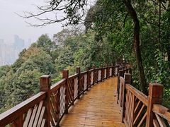 -南山植物园