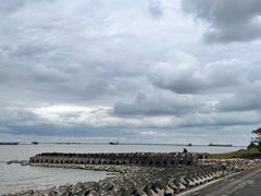 -上海滨江森林公园