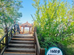 -大岭沟猕猴桃谷风景区
