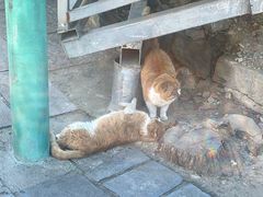 -沕沕水生态风景区