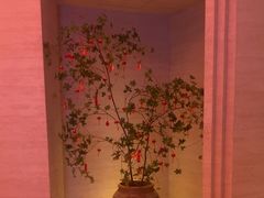 -舒小悦·舒养SPA·古法推拿(光环中心店)