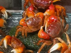 -万商花鸟市场