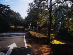 -福建鲤鱼洲酒店