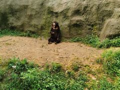 -杭州野生动物世界